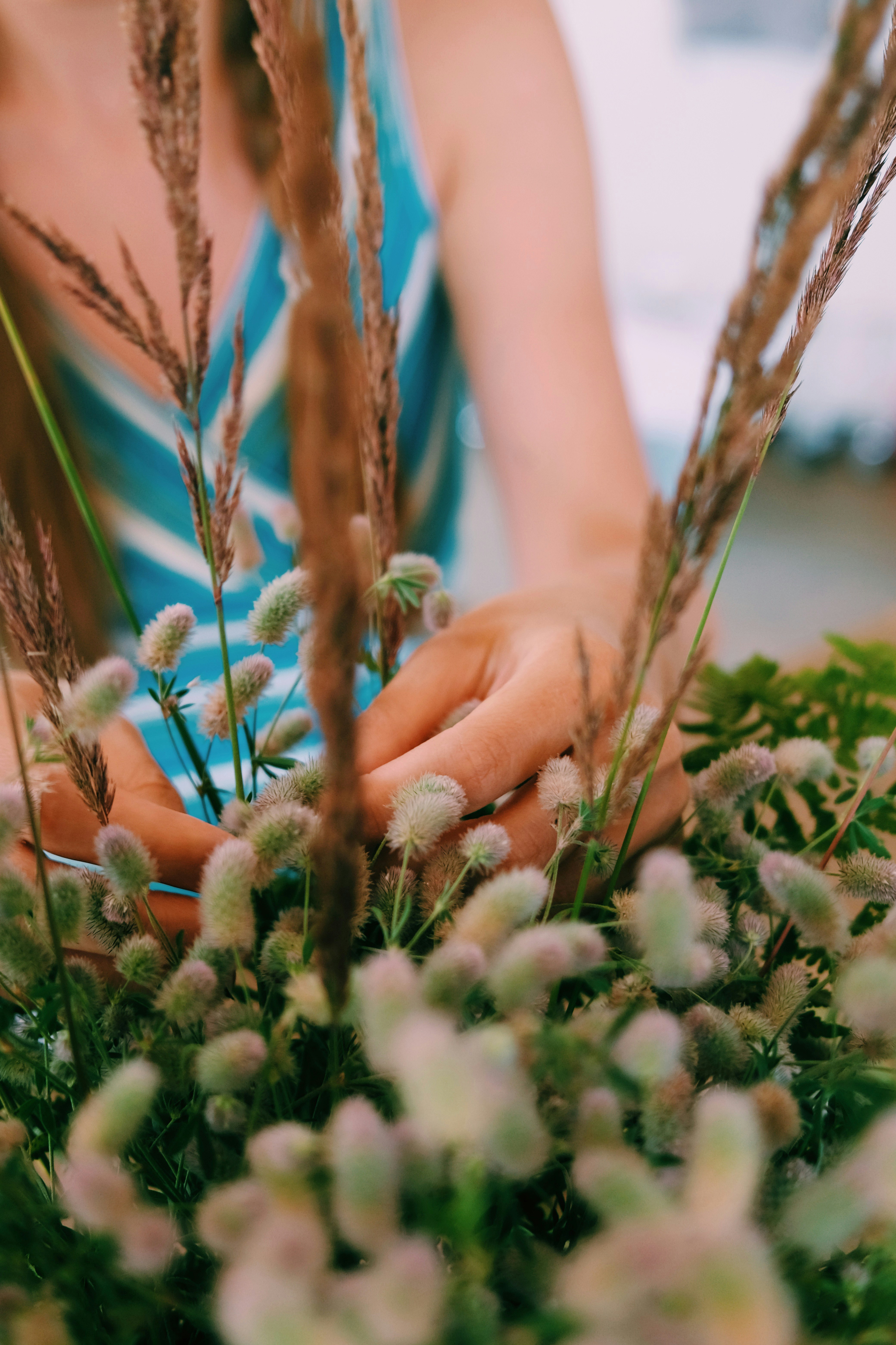 person holding green and brown plant